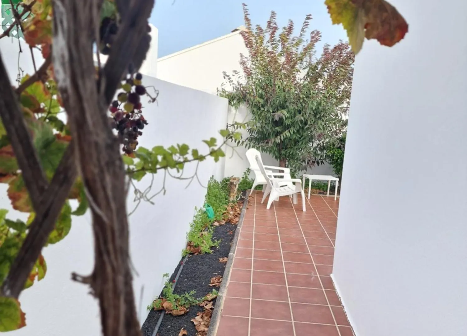 Casa Maracuya Villa Costa Teguise